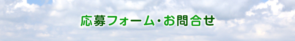 応募フォーム/お問い合わせ